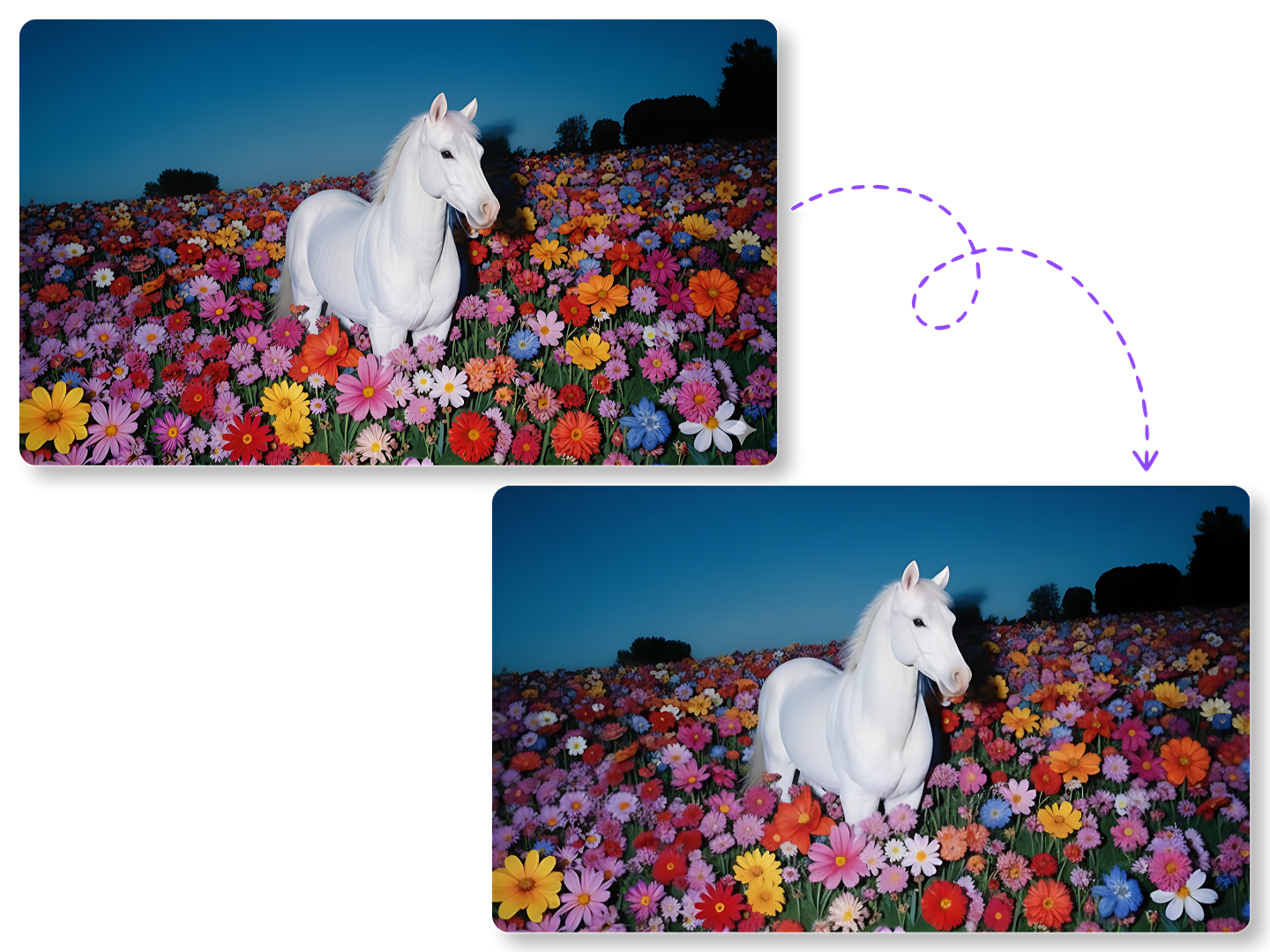 Gemini Watermark Remover Online Access