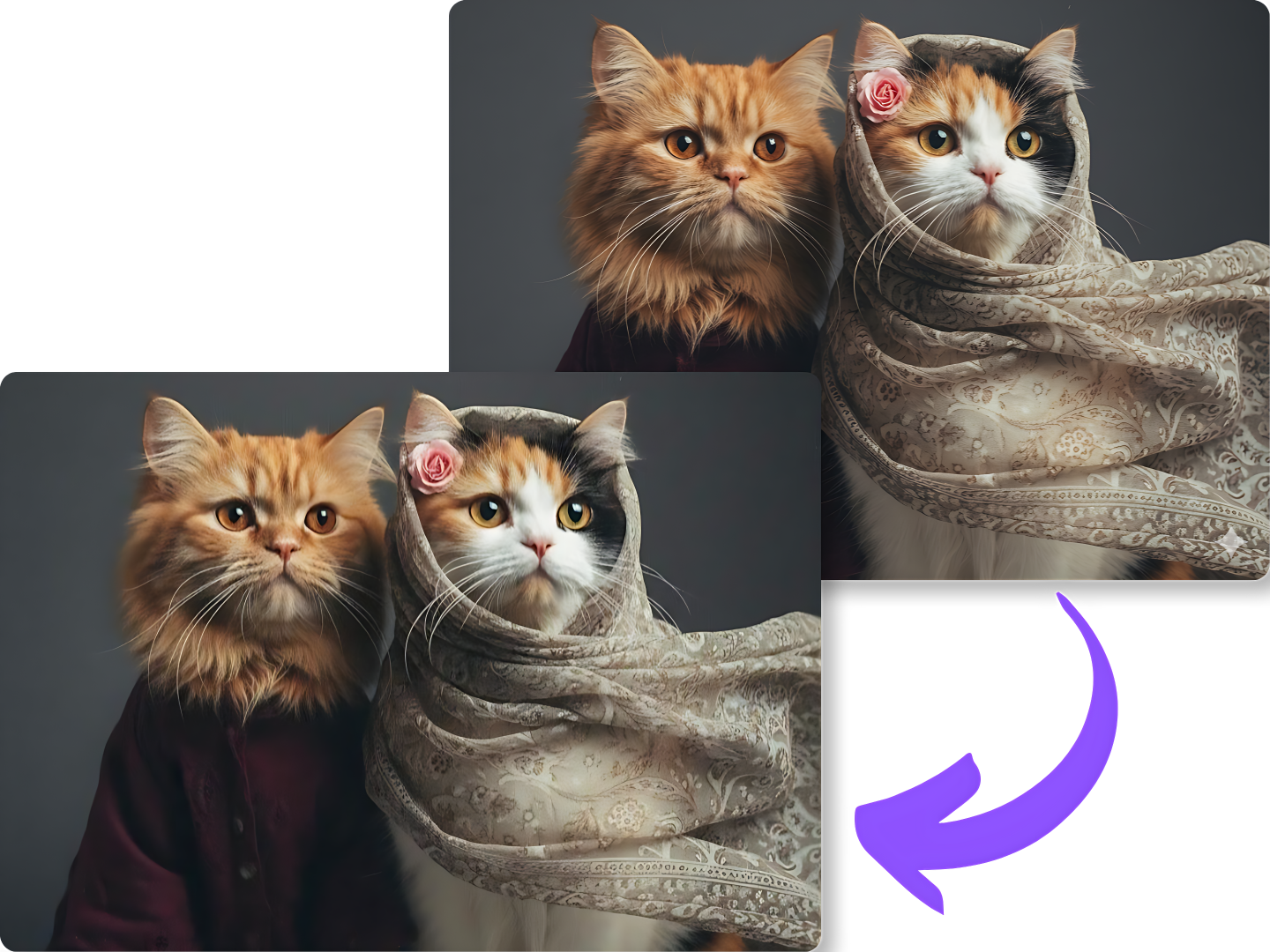 How to Remove Gemini Watermark without Stress