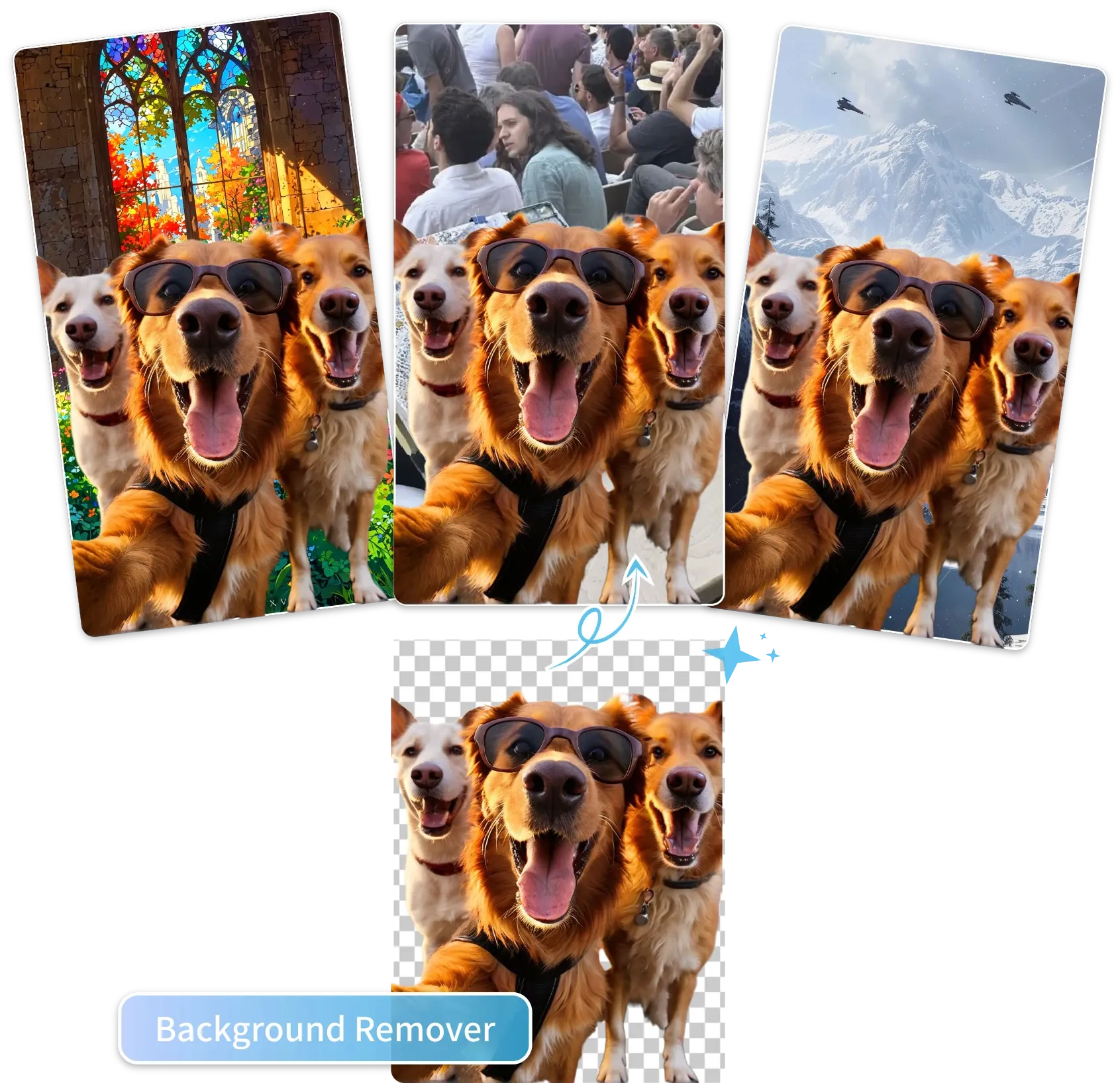Background Remover