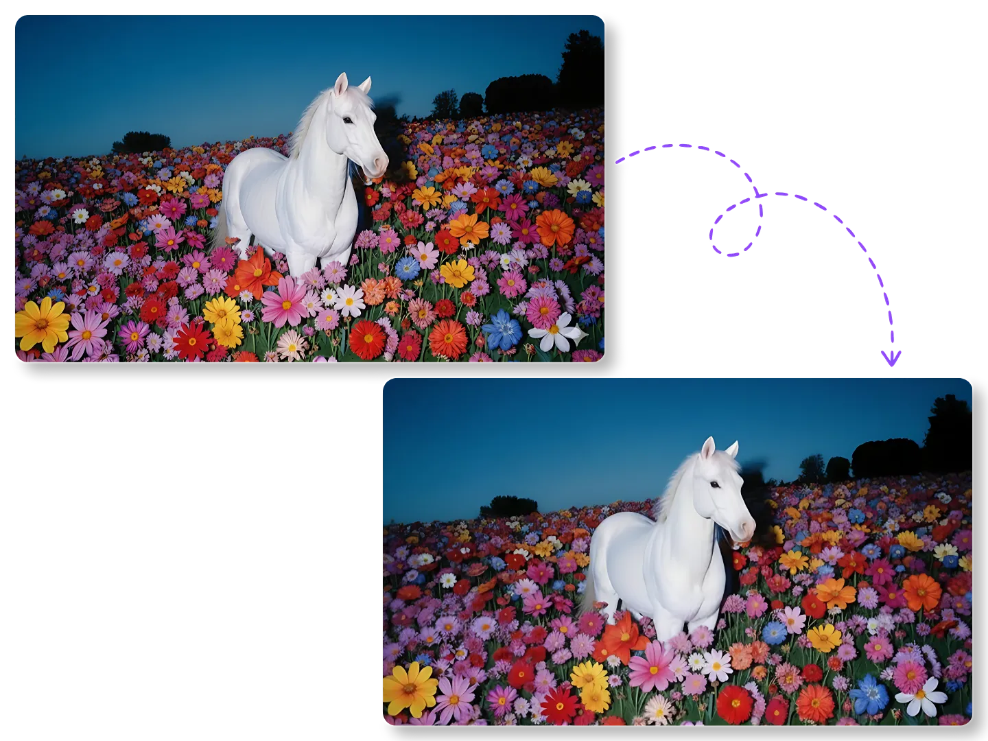 Gemini Watermark Remover Online Access