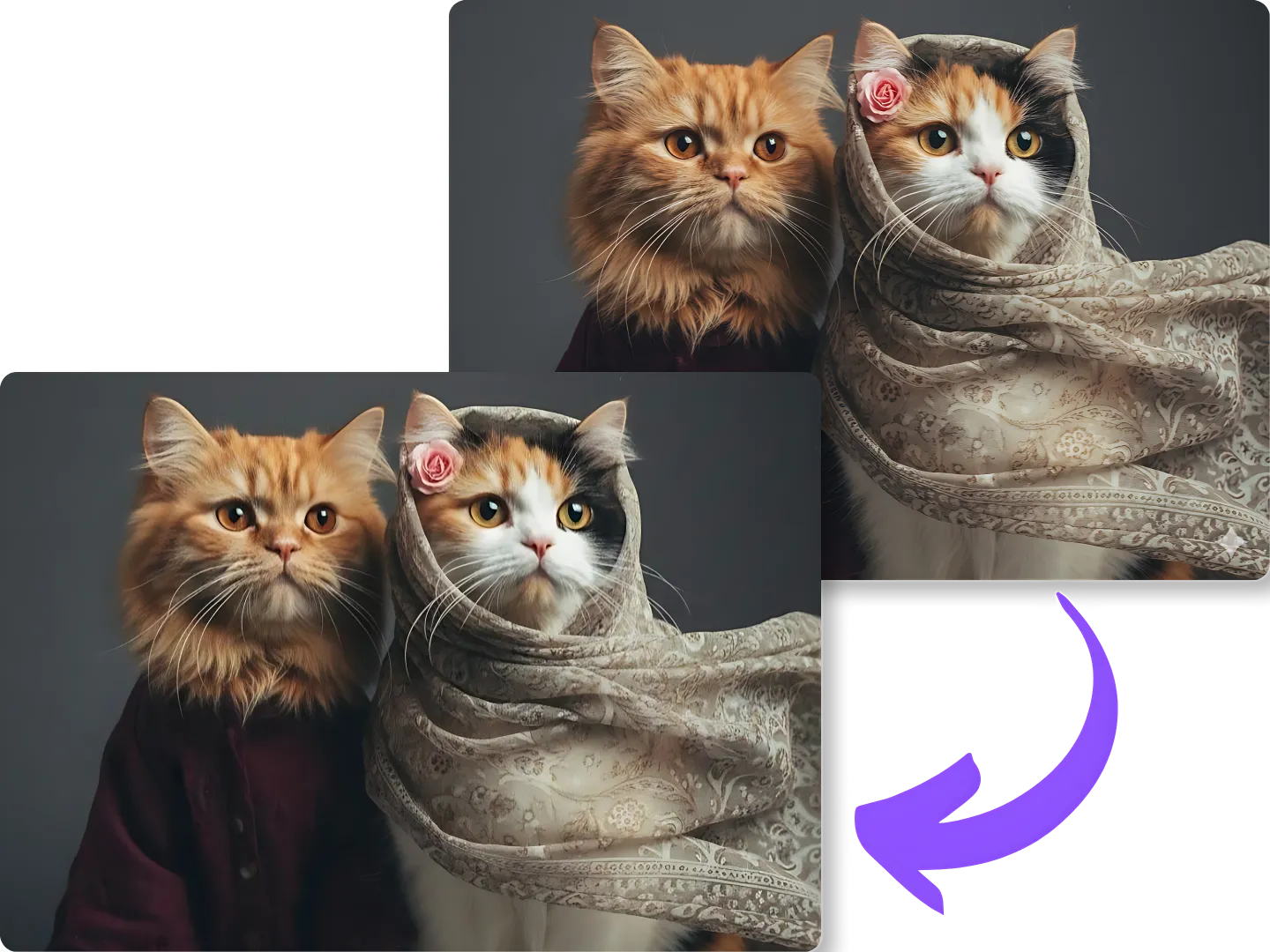 How to Remove Gemini Watermark without Stress